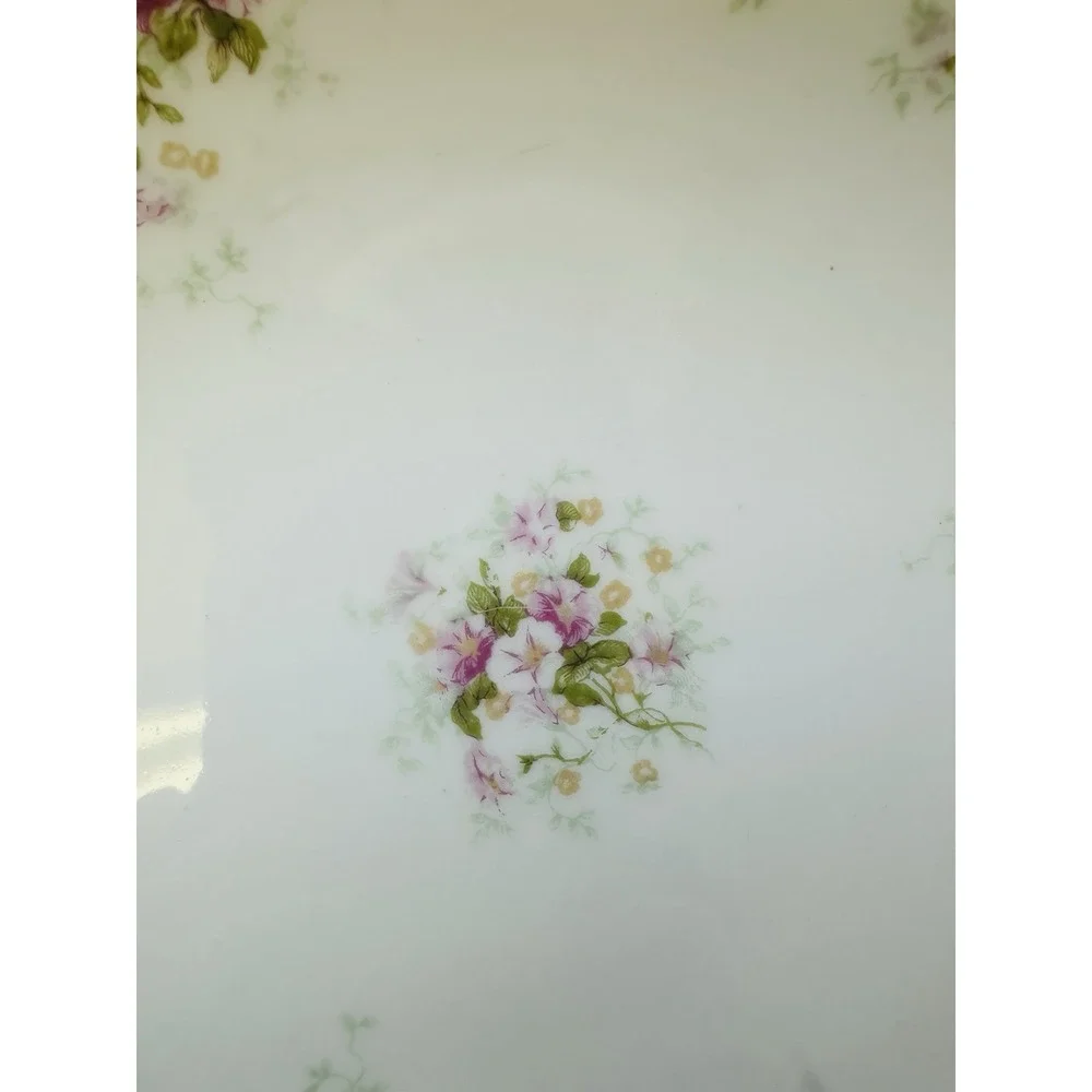Theodore‎ Haviland Limoges Two Salad Plates Schleiger 855B France Vintage